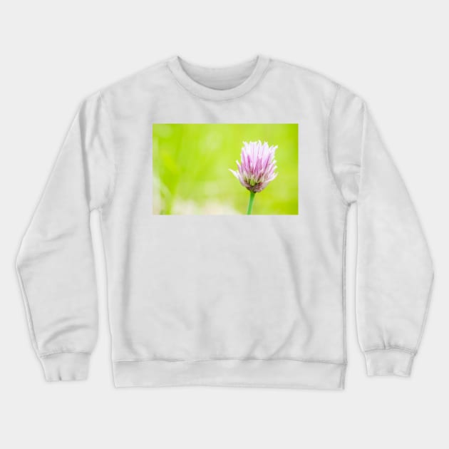 Chives Crewneck Sweatshirt by ansaharju